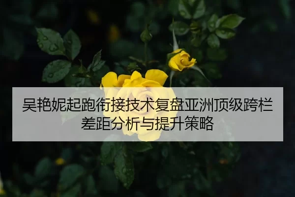 吴艳妮起跑衔接技术复盘亚洲顶级跨栏差距分析与提升策略