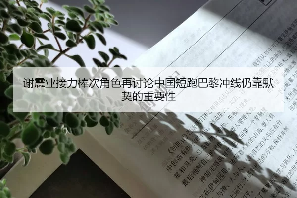 谢震业接力棒次角色再讨论中国短跑巴黎冲线仍靠默契的重要性 - kaiyun